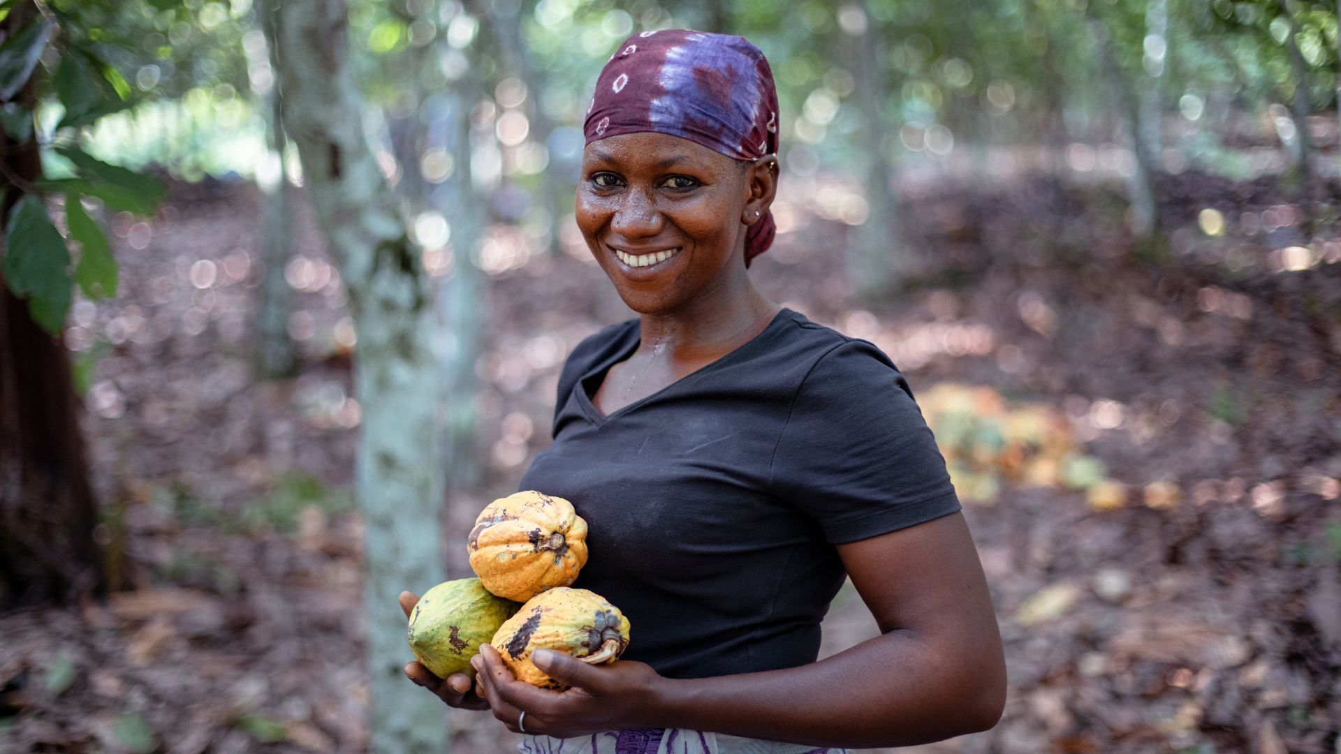 How we’re supporting cocoa farmers via agroforestry