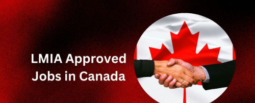 Web Site Designer Jobs in Canada with LMIA 2025 – Apply Now