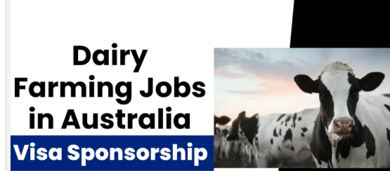 Visa Sponsorship Dairy Farming Jobs in Australia 2025