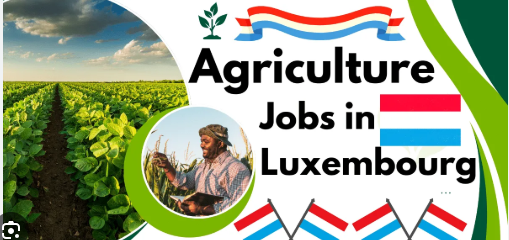 Vegetable Farm Jobs in Luxembourg with Visa Sponsorship 2025